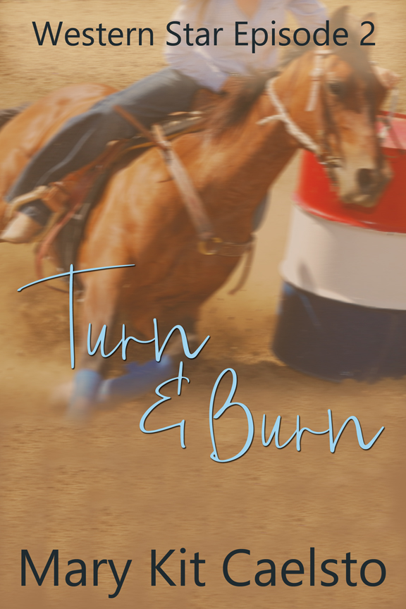 Book Cover: Turn and Burn
