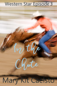 Book Cover: In The Chute