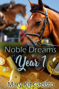 Book Cover: Noble Dreams Year 1 (Books 1-5)