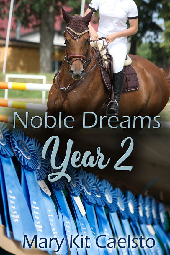 Book Cover: Noble Dreams Year 2