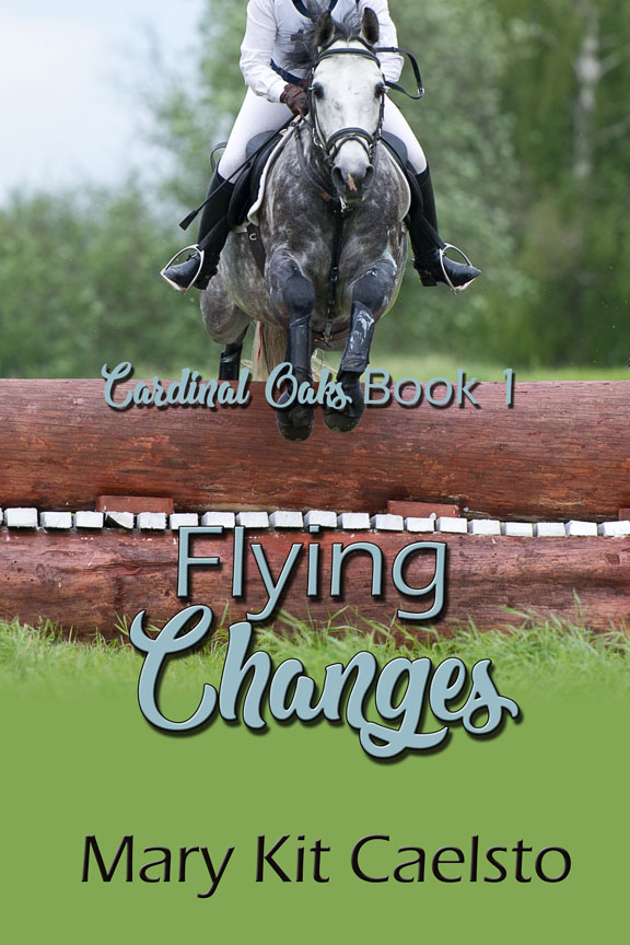 Book Cover: Flying Changes