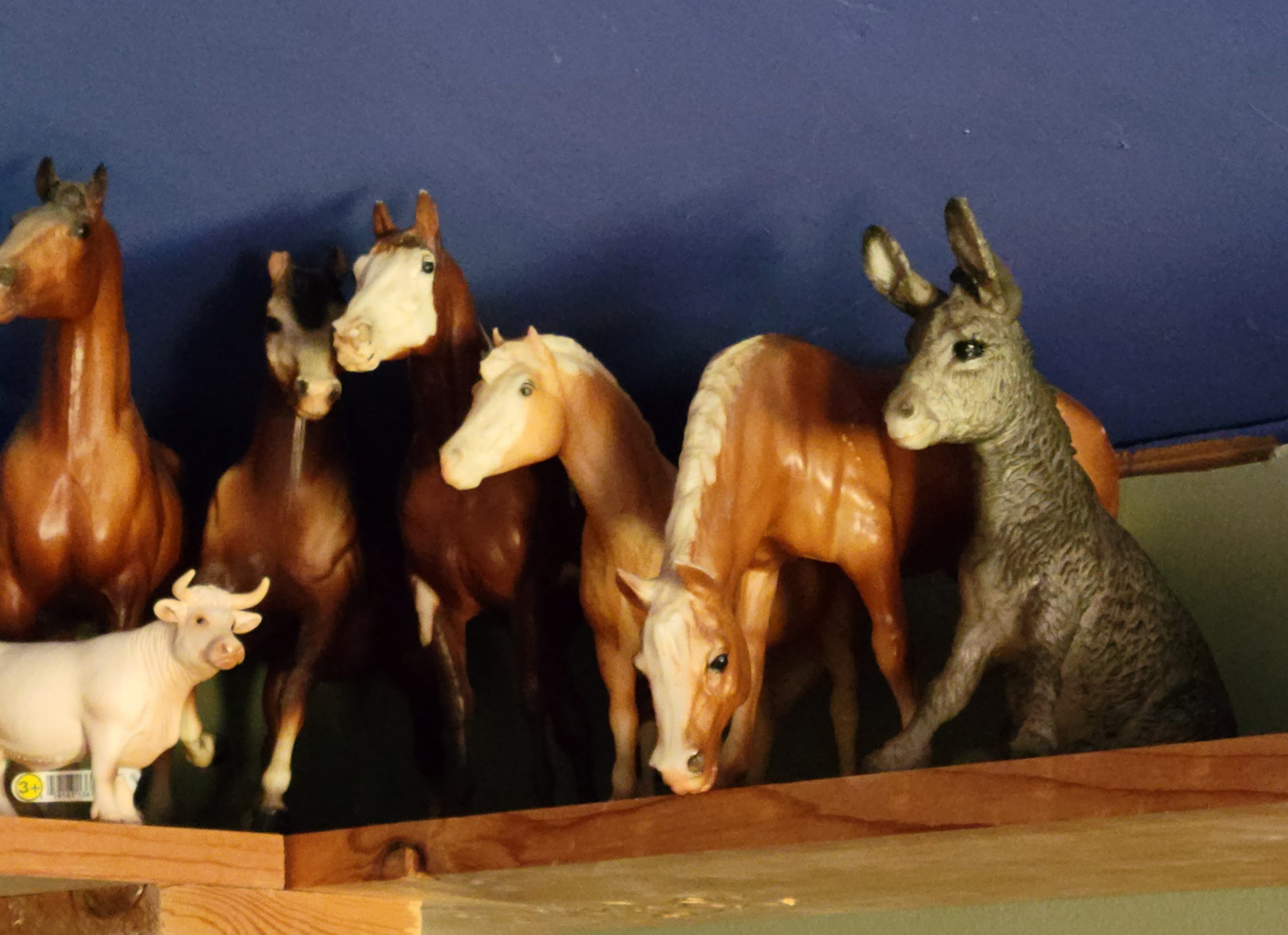 Family Breyer Horses Mary Kit Caelsto